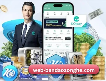 半岛综合 APP